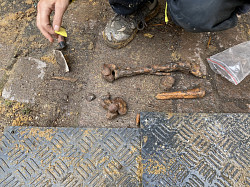 Moesgaard-arkolog med skeletrester fra grav i grden til Vestergade 3 (august 2020)